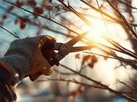 5 cuidados fundamentales para tu finca