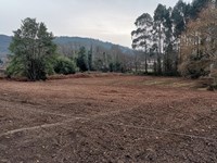 5 razones para limpiar tu finca en A Coruña