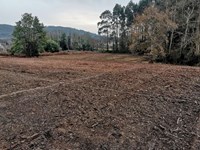 ¿Cómo mantener tu finca en perfecto estado?