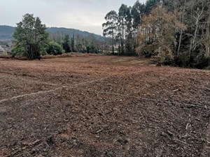 ¿Cómo mantener tu finca en perfecto estado?