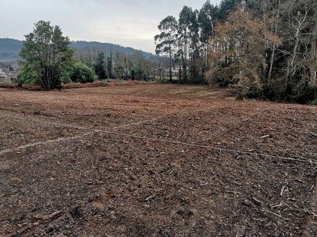 ¿Cómo mantener tu finca en perfecto estado?