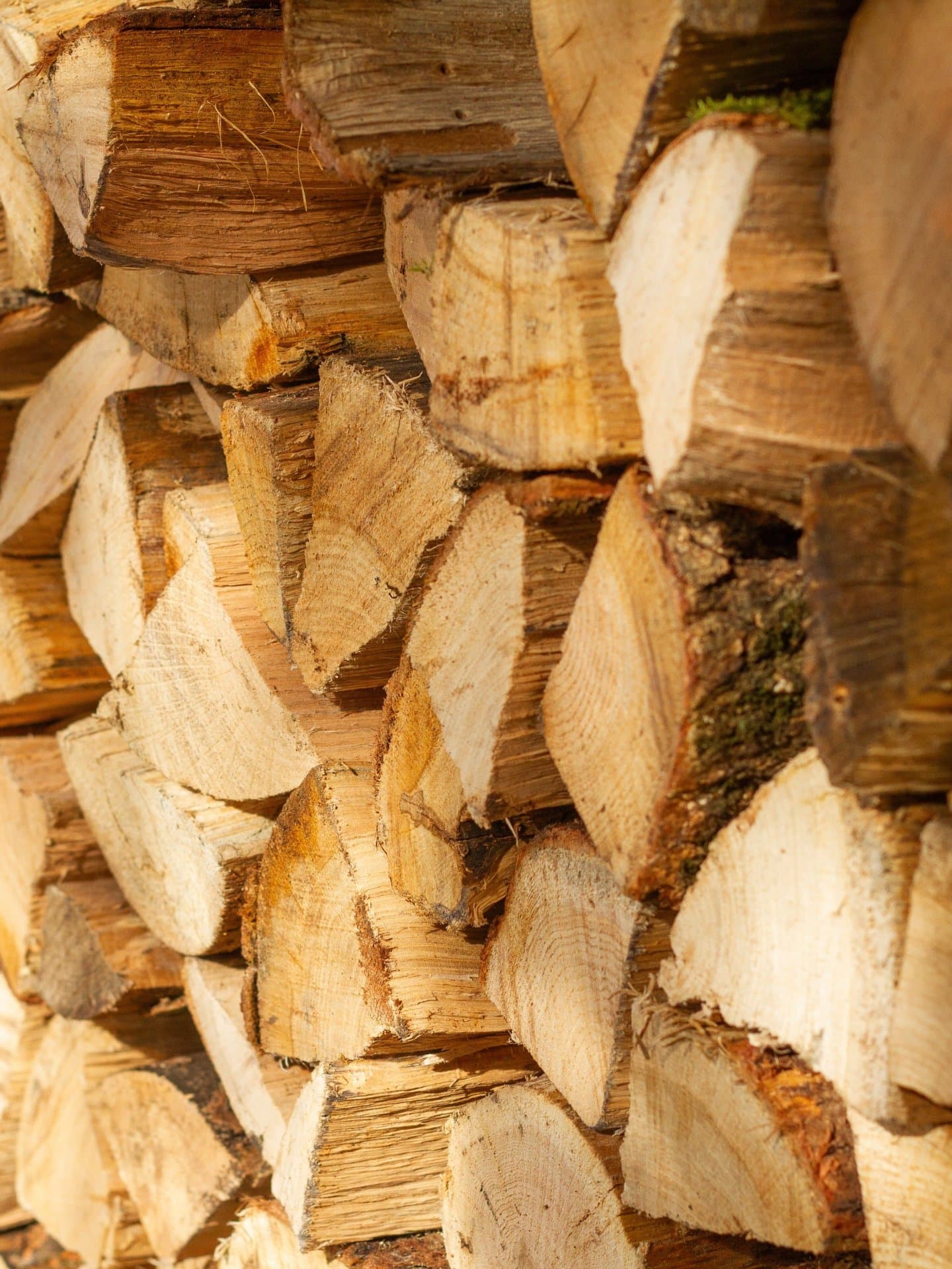 Compra y venta de madera en A Coruña por Forestal Cando
