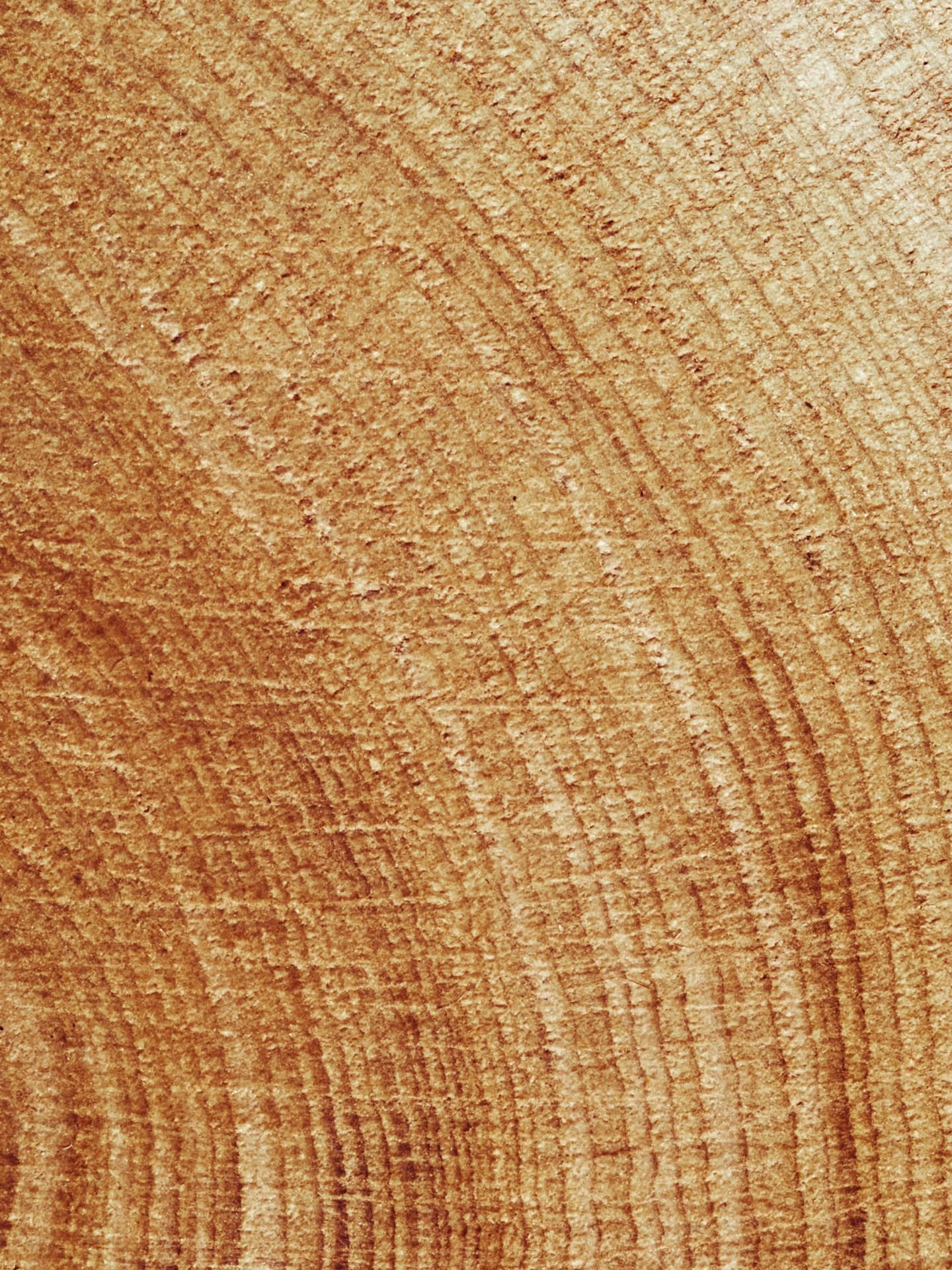 Compra y venta de madera en Lugo por Forestal Cando