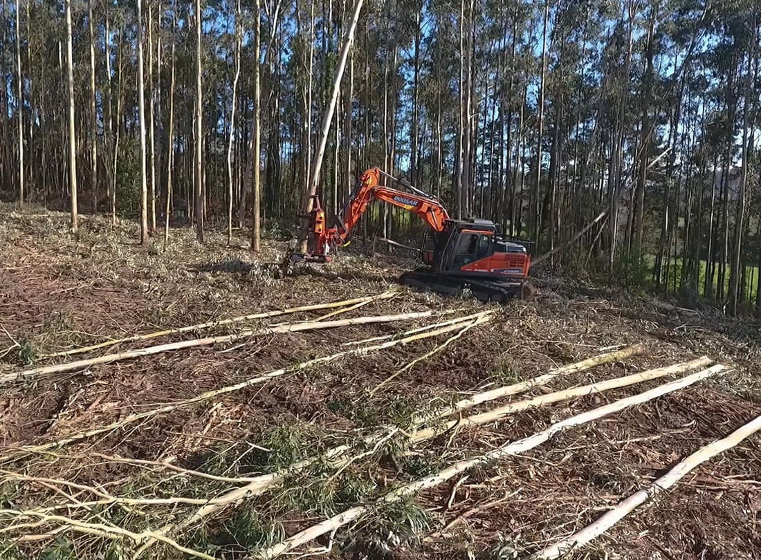 Expertos en madera en Coruña