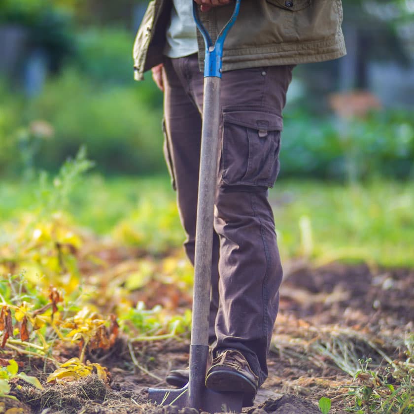 Limpieza y plantación de fincas en Galicia