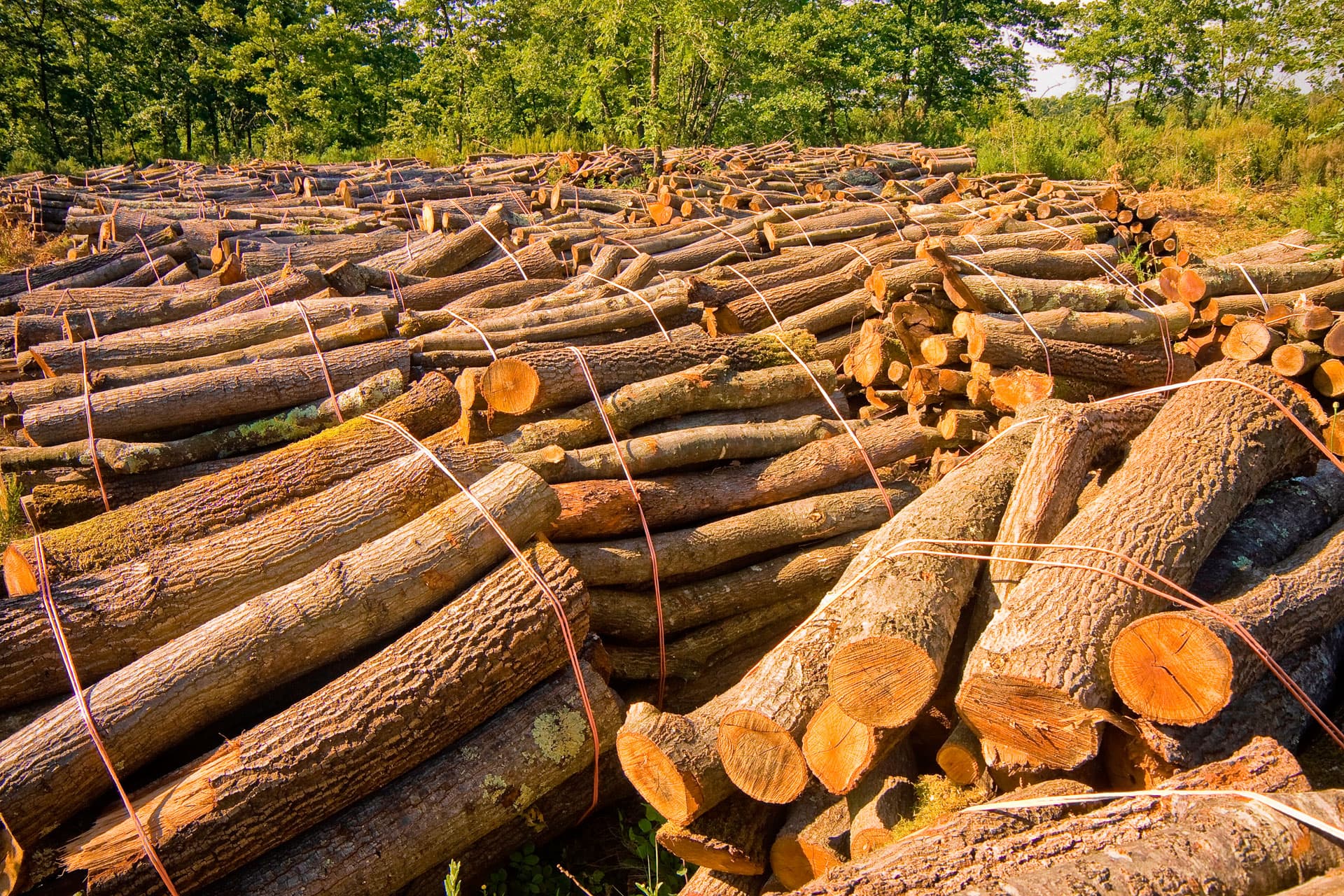 Comprar madera en Lugo