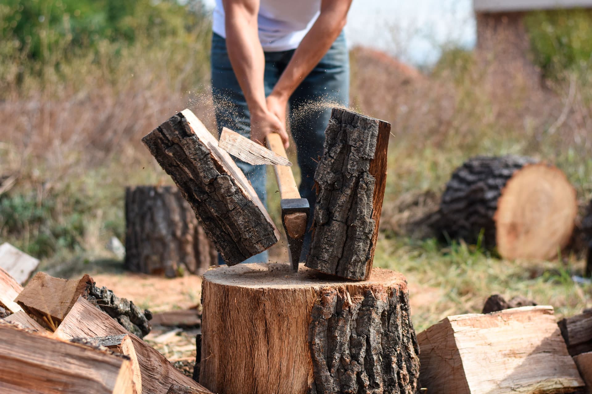 Noticias y novedades de Forestal Cando