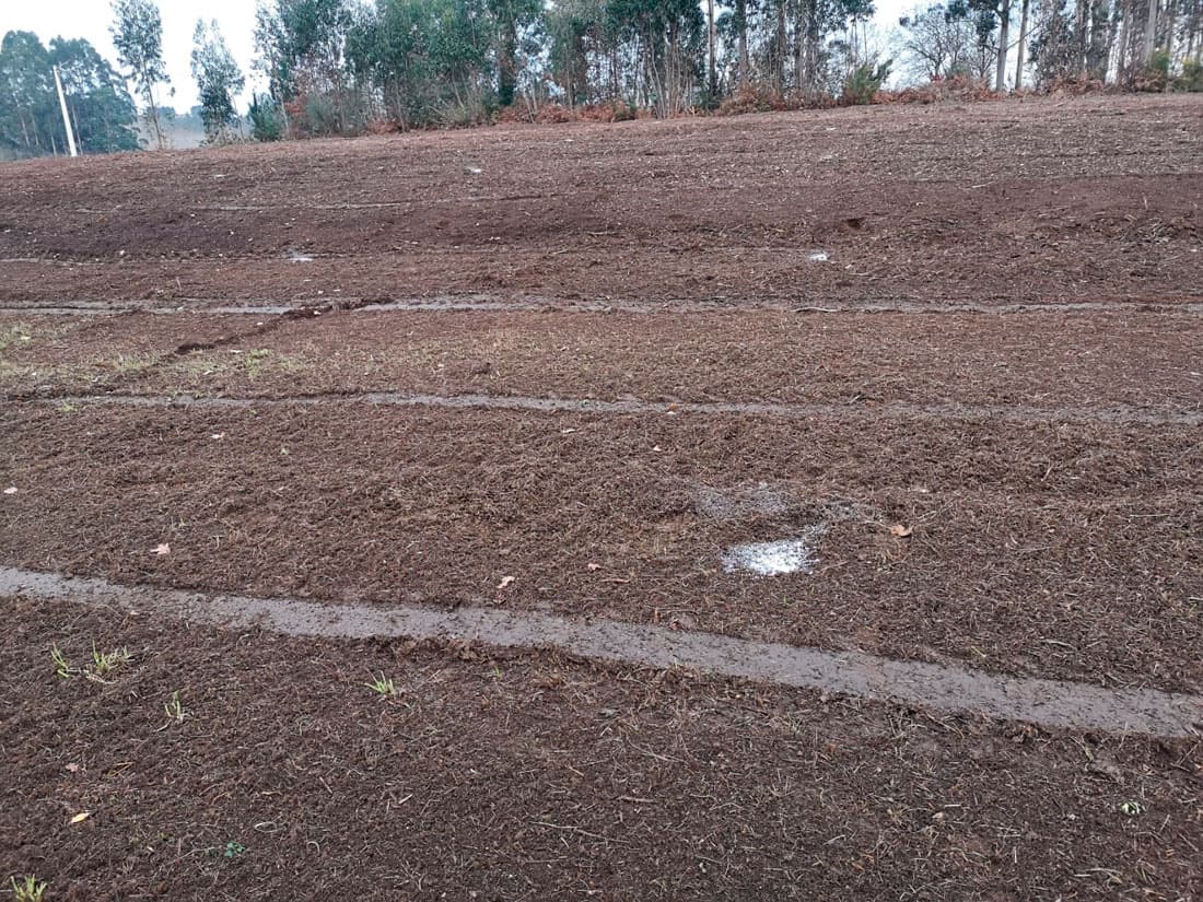 Plantación de fincas en A Coruña