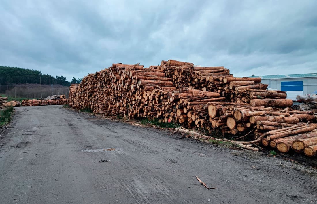 Venta de madera en A Coruña por Forestal Cando