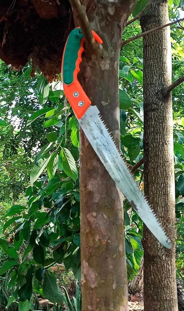 Nos encargamos de la tala de árboles