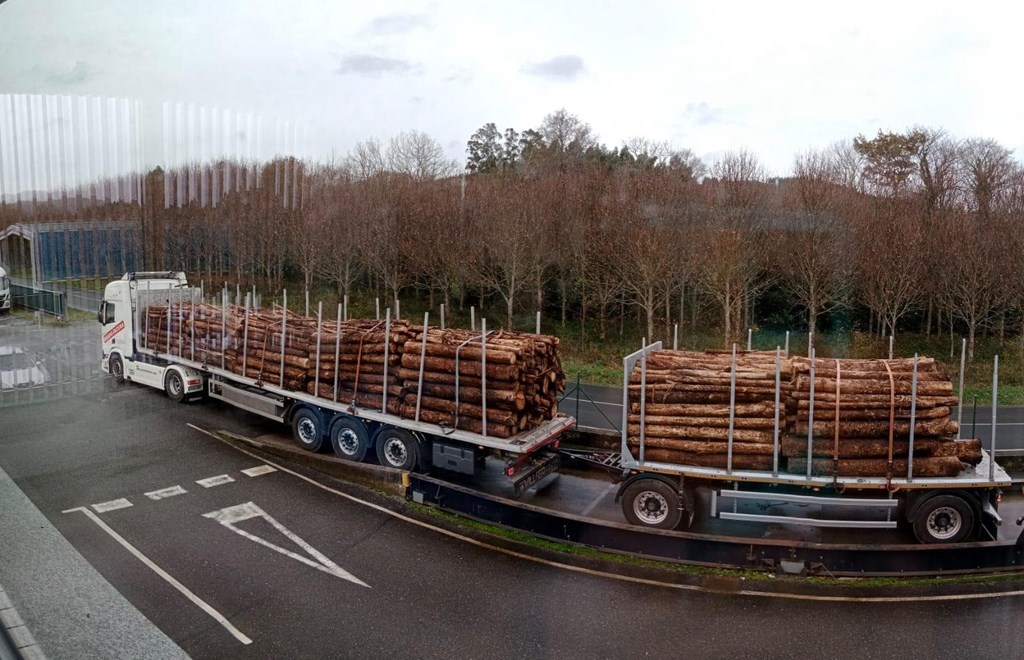 ¿Por qué elegirnos entre las empresas que compran madera en A Coruña?