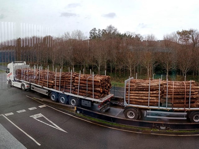 ¿Por qué elegirnos entre las empresas que compran madera en A Coruña?