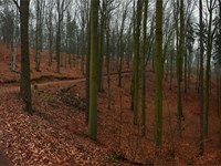 ¿Qué nos hace únicos en el cuidado de fincas en A Coruña?