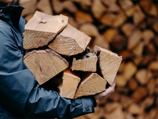Roble, olivo o eucalipto ¿qué leña debo escoger?