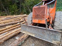 Tala y limpieza: un servicio completo para tu finca