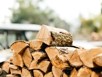 ¿Tienes madera para vender en A Coruña? Descubre cuánto vale con nosotros